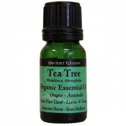 Huile essentielle de Tea Tree BIO 10 ml
